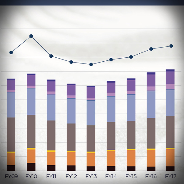 Figures from a Semi-Annual Company Presentation